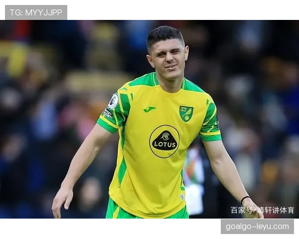 诺维奇黄绿风暴强势重返英超,顽强斗志点燃球迷期待 诺维奇黄绿风暴强势重返英超,顽强斗志点燃球迷期待