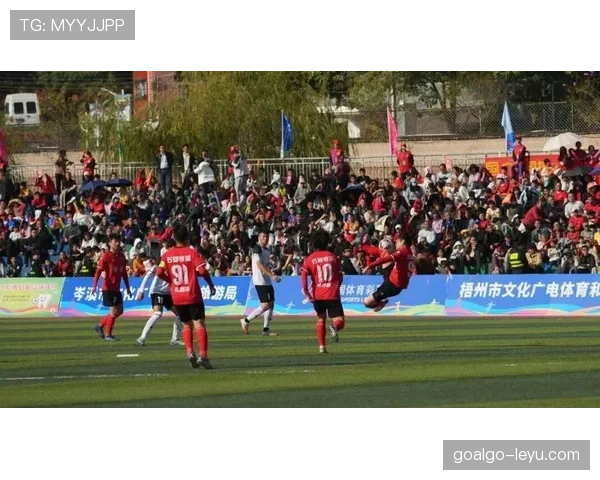 足球球迷文化蓬勃发展，赛场内外热情与团结交融共进