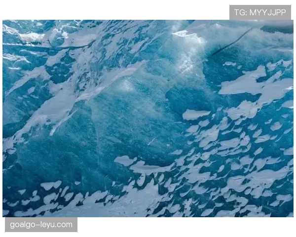 崔家溪上场一本正经，下场像拿白金卡逛超市的富二代，反差感太梦幻